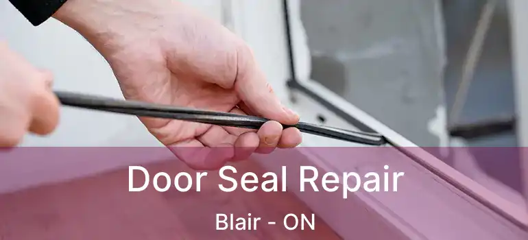  Door Seal Repair Blair - ON