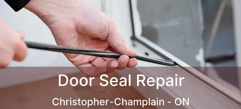  Door Seal Repair Christopher-Champlain - ON