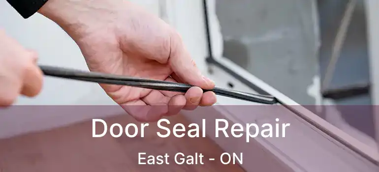  Door Seal Repair East Galt - ON