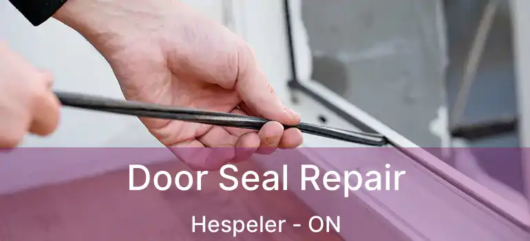  Door Seal Repair Hespeler - ON