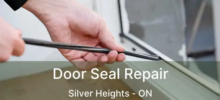  Door Seal Repair Silver Heights - ON