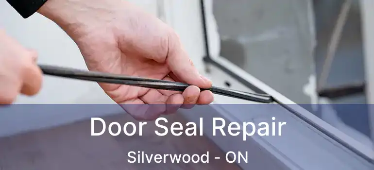  Door Seal Repair Silverwood - ON