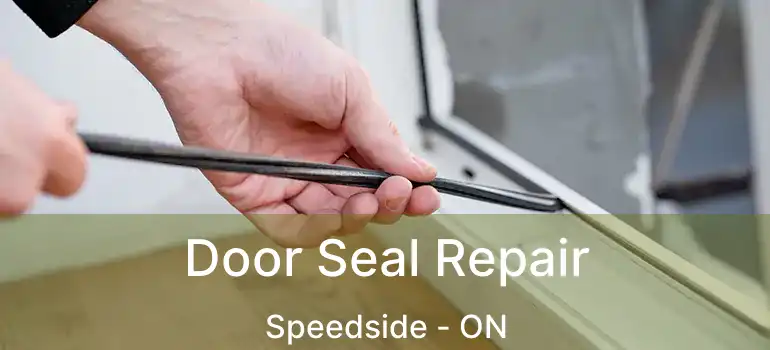  Door Seal Repair Speedside - ON
