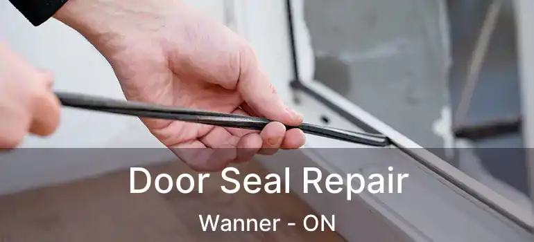  Door Seal Repair Wanner - ON
