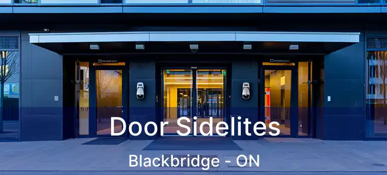  Door Sidelites Blackbridge - ON