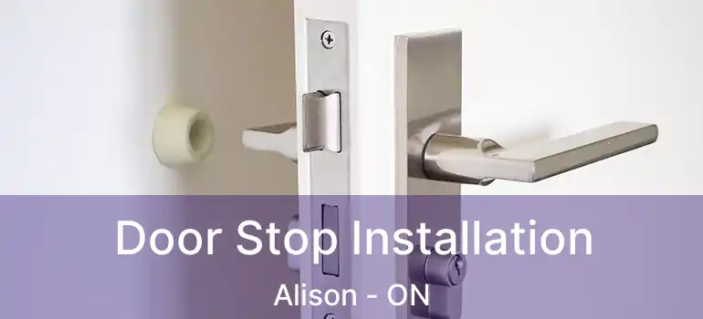  Door Stop Installation Alison - ON