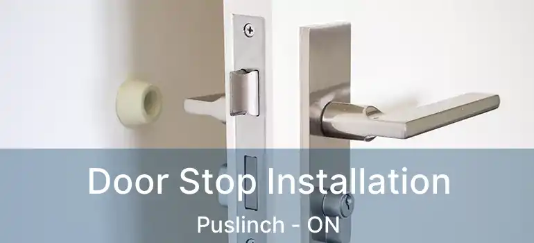  Door Stop Installation Puslinch - ON