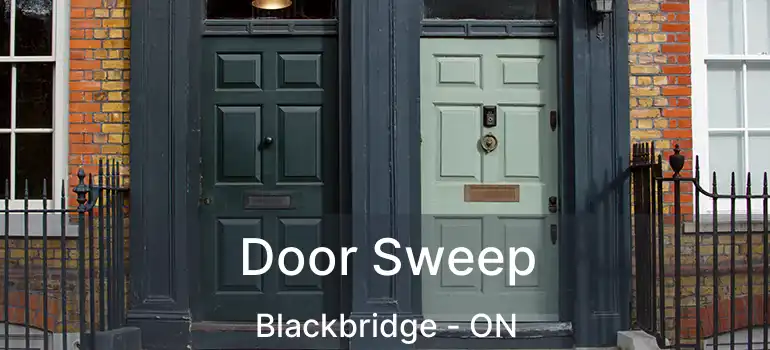  Door Sweep Blackbridge - ON