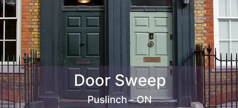 Door Sweep Puslinch - ON
