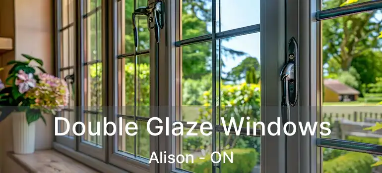  Double Glaze Windows Alison - ON