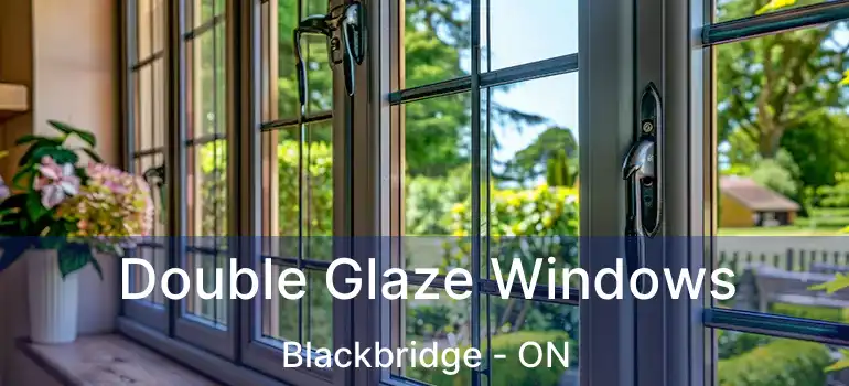  Double Glaze Windows Blackbridge - ON