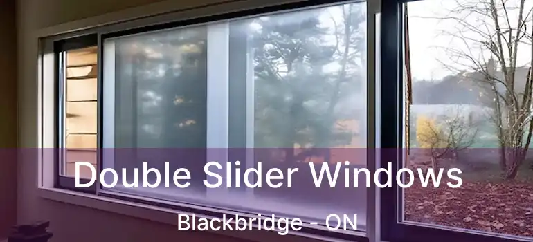  Double Slider Windows Blackbridge - ON