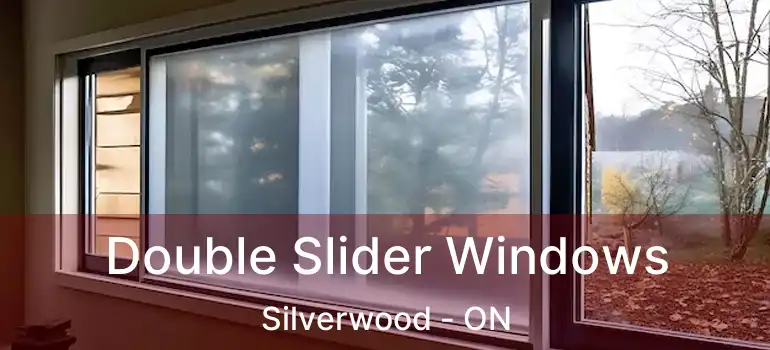  Double Slider Windows Silverwood - ON