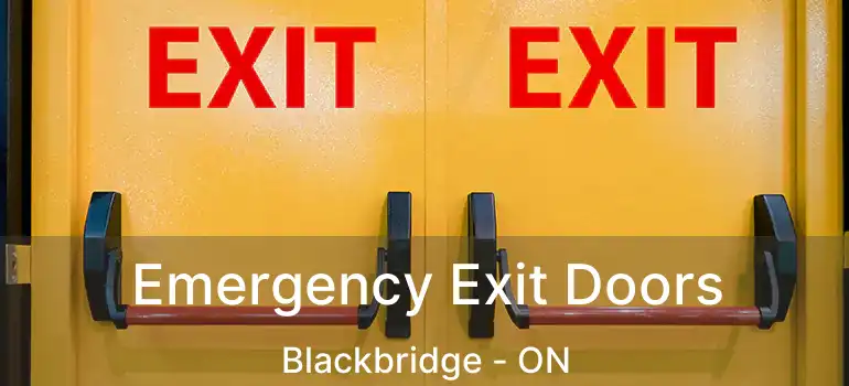  Emergency Exit Doors Blackbridge - ON