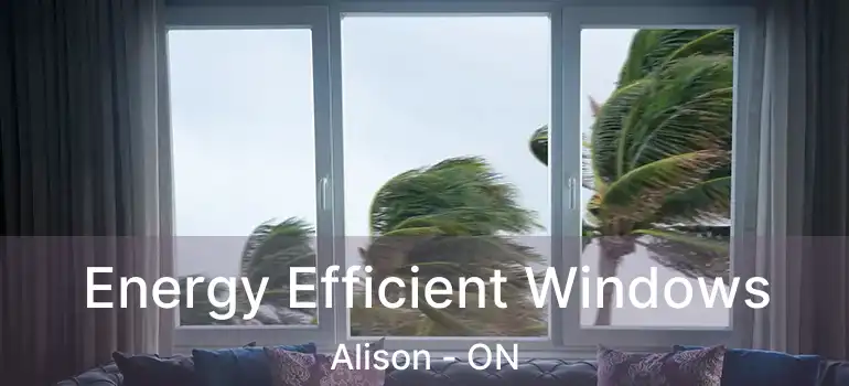  Energy Efficient Windows Alison - ON