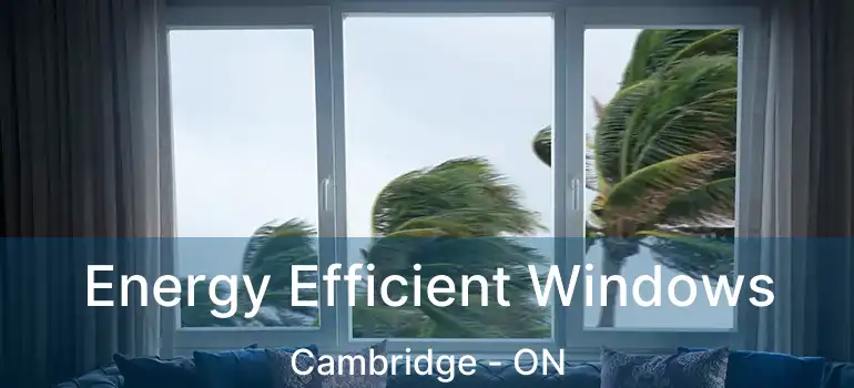  Energy Efficient Windows Cambridge - ON