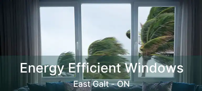  Energy Efficient Windows East Galt - ON