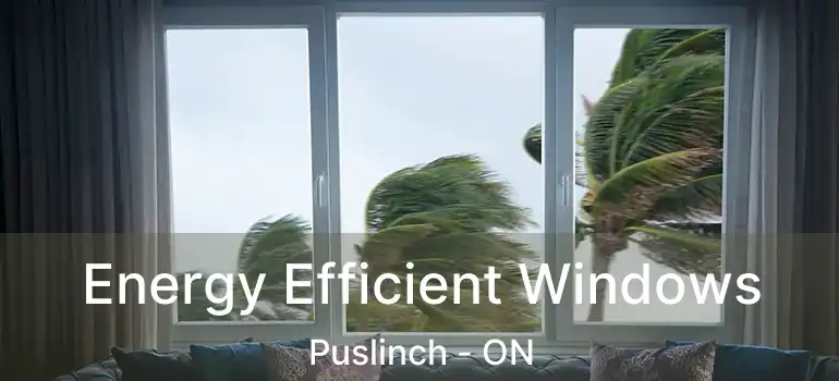  Energy Efficient Windows Puslinch - ON