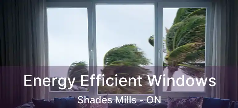  Energy Efficient Windows Shades Mills - ON