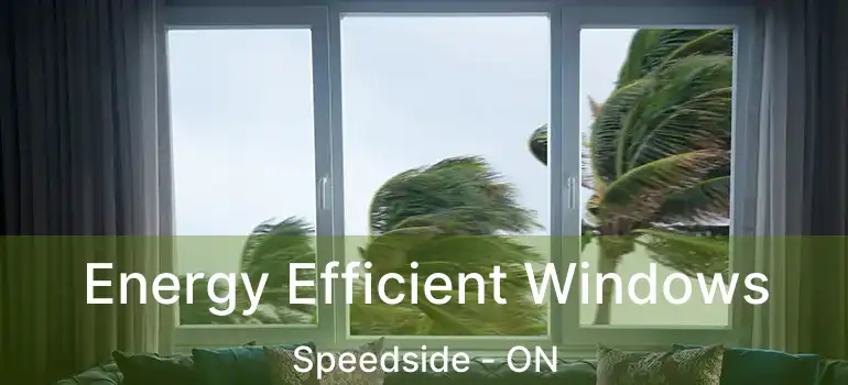 Energy Efficient Windows Speedside - ON