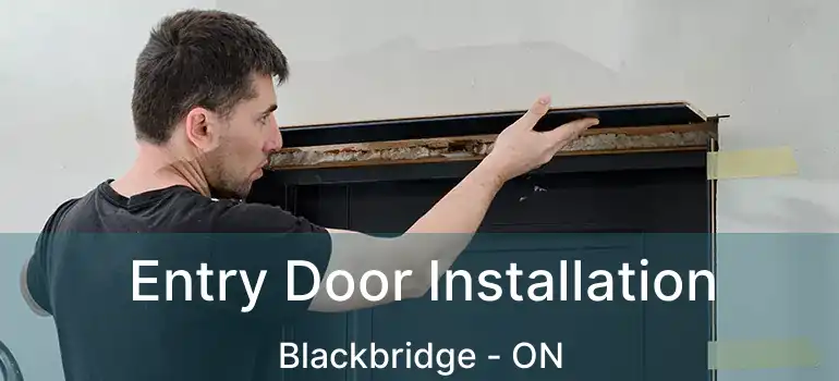  Entry Door Installation Blackbridge - ON