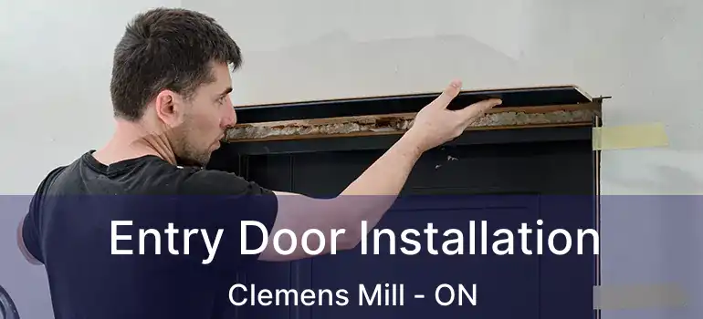  Entry Door Installation Clemens Mill - ON