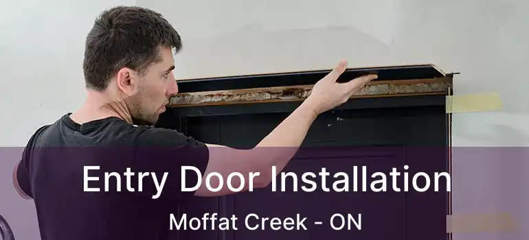  Entry Door Installation Moffat Creek - ON