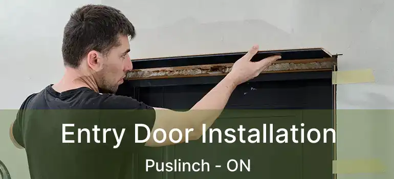  Entry Door Installation Puslinch - ON