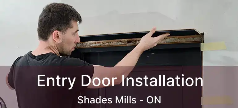  Entry Door Installation Shades Mills - ON