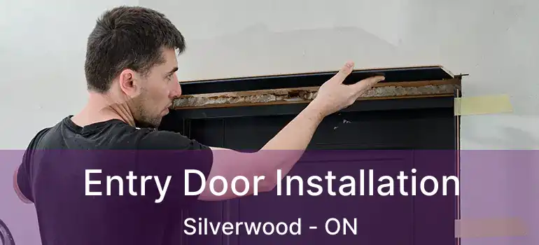  Entry Door Installation Silverwood - ON