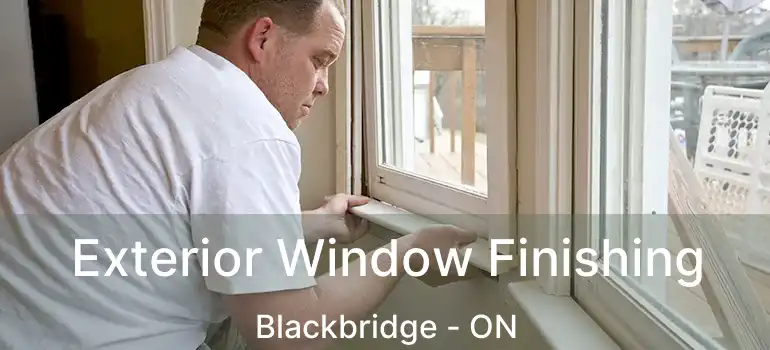  Exterior Window Finishing Blackbridge - ON