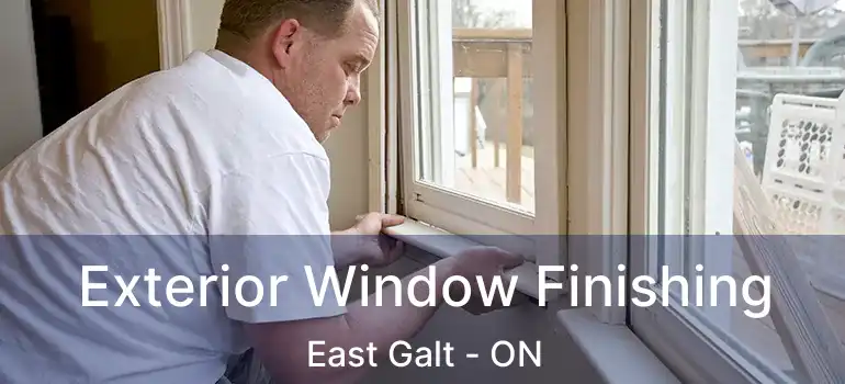  Exterior Window Finishing East Galt - ON