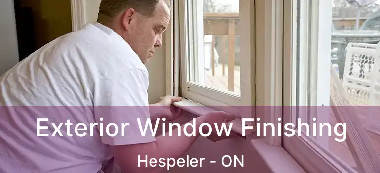  Exterior Window Finishing Hespeler - ON