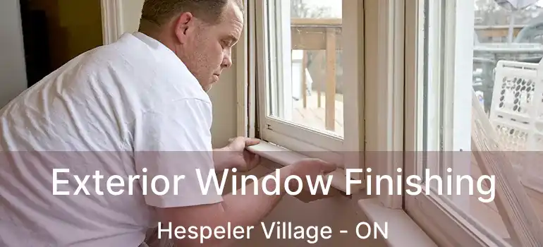 Exterior Window Finishing Hespeler Village - ON