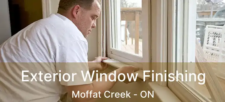  Exterior Window Finishing Moffat Creek - ON