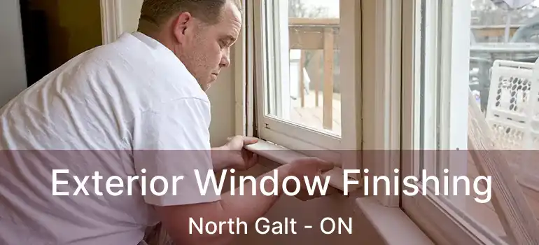  Exterior Window Finishing North Galt - ON