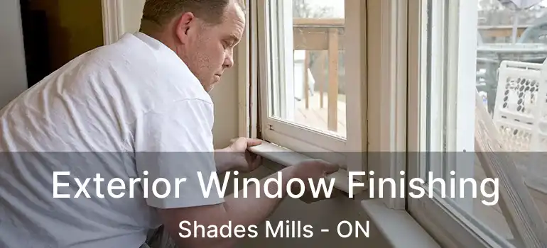  Exterior Window Finishing Shades Mills - ON