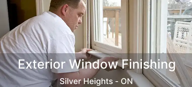  Exterior Window Finishing Silver Heights - ON