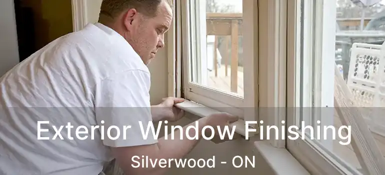  Exterior Window Finishing Silverwood - ON