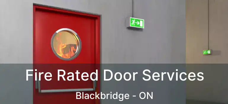  Fire Rated Door Services Blackbridge - ON