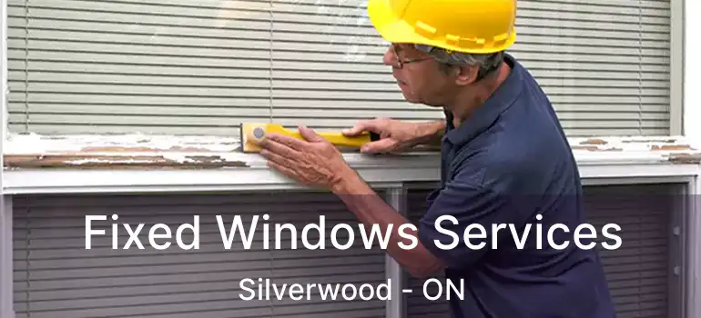  Fixed Windows Services Silverwood - ON