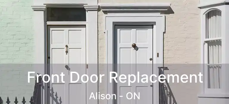  Front Door Replacement Alison - ON