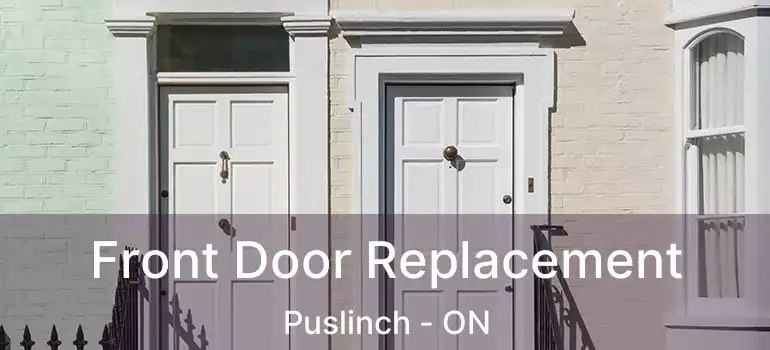  Front Door Replacement Puslinch - ON