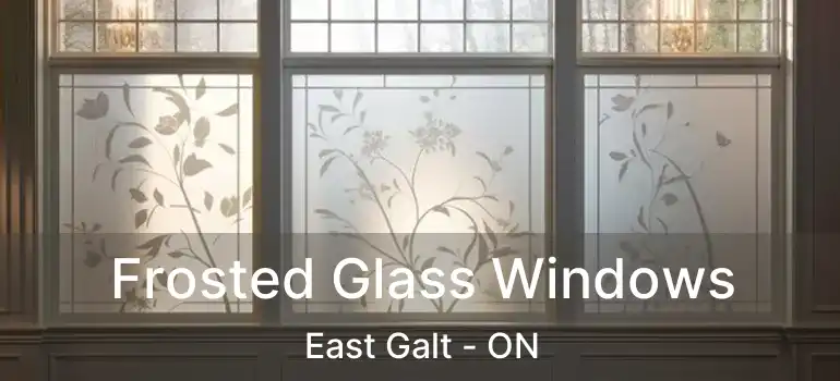  Frosted Glass Windows East Galt - ON