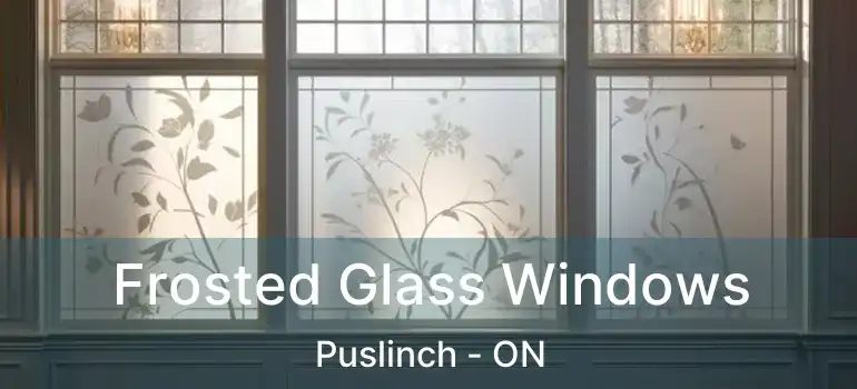 Frosted Glass Windows Puslinch - ON