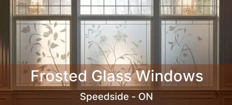  Frosted Glass Windows Speedside - ON