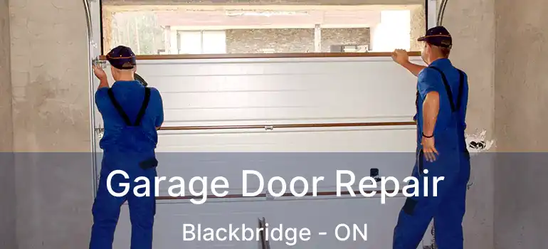  Garage Door Repair Blackbridge - ON