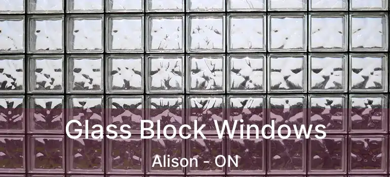  Glass Block Windows Alison - ON