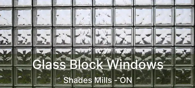  Glass Block Windows Shades Mills - ON
