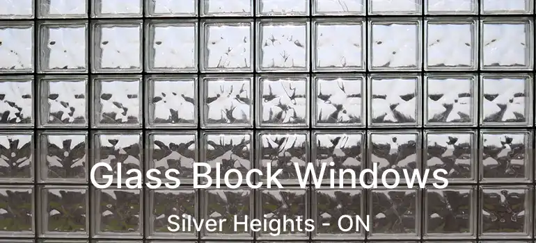  Glass Block Windows Silver Heights - ON